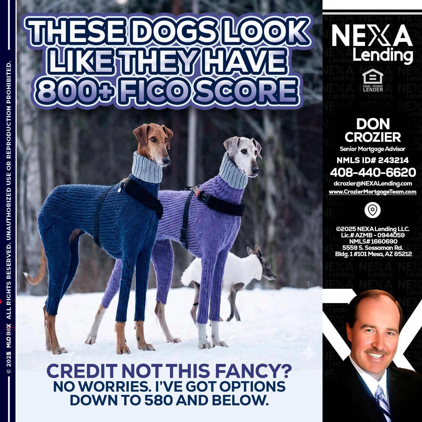 THESE DOGS LOOK - Don Crozier -Senior Mortgage Advisor